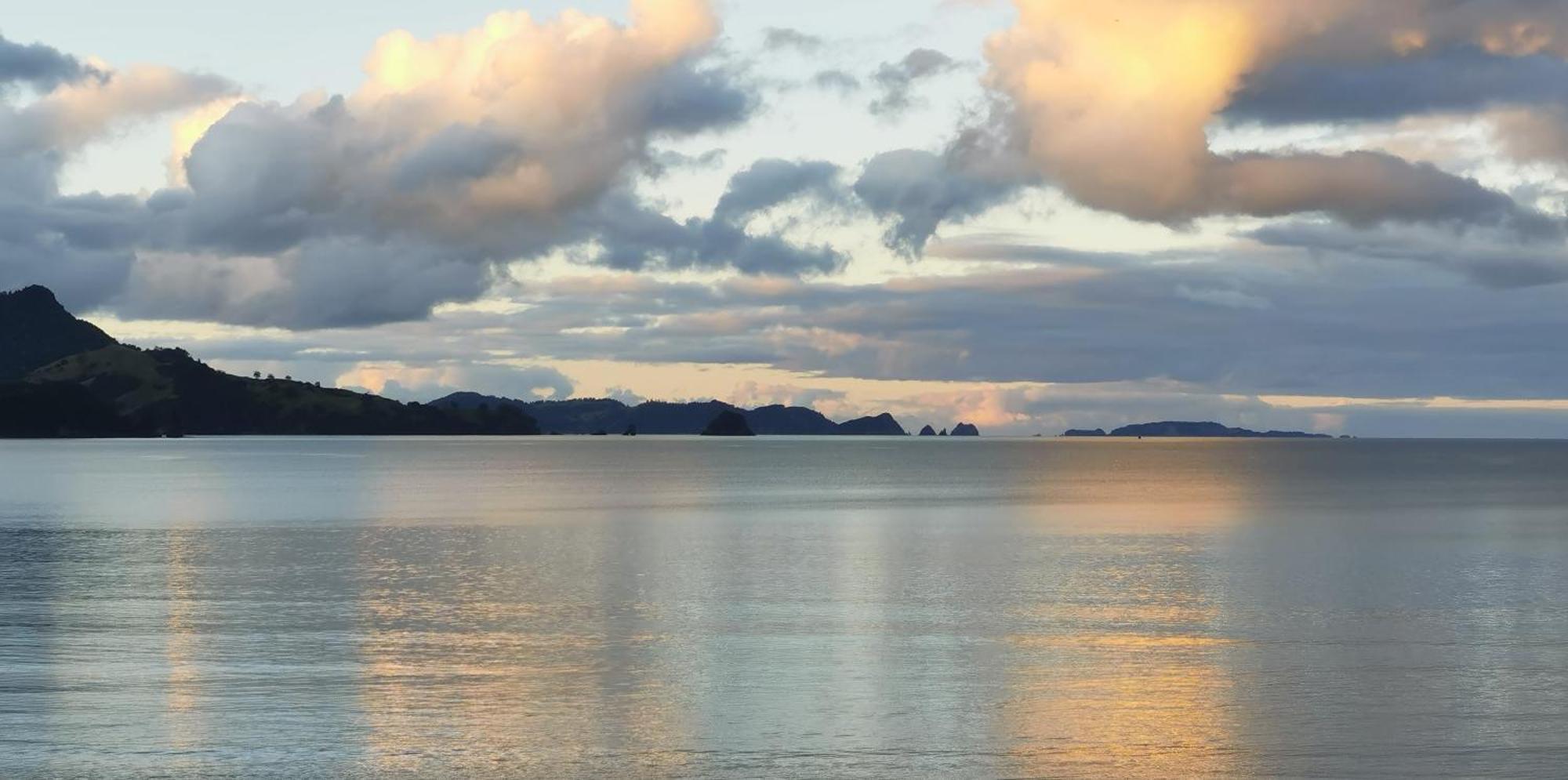 Waterfront Apartments Whitianga Eksteriør bilde