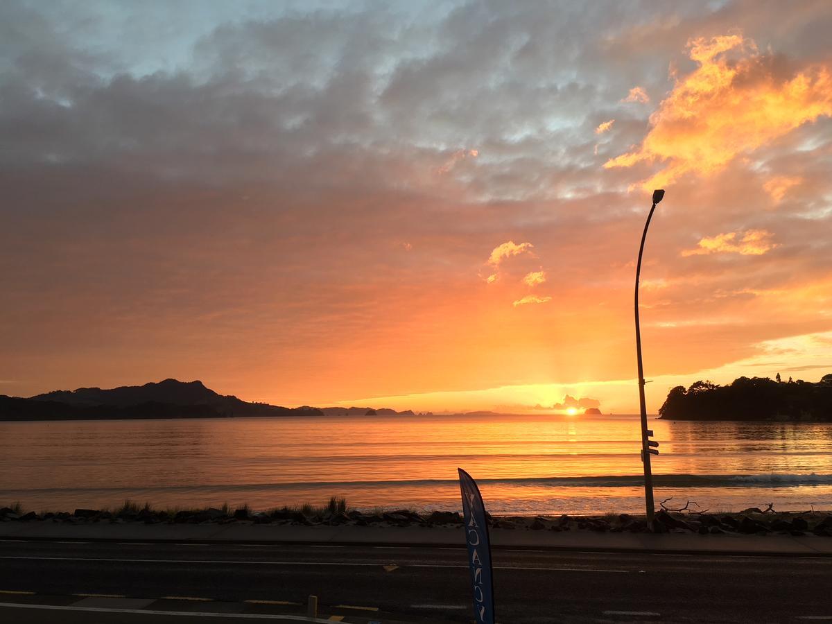 Waterfront Apartments Whitianga Eksteriør bilde