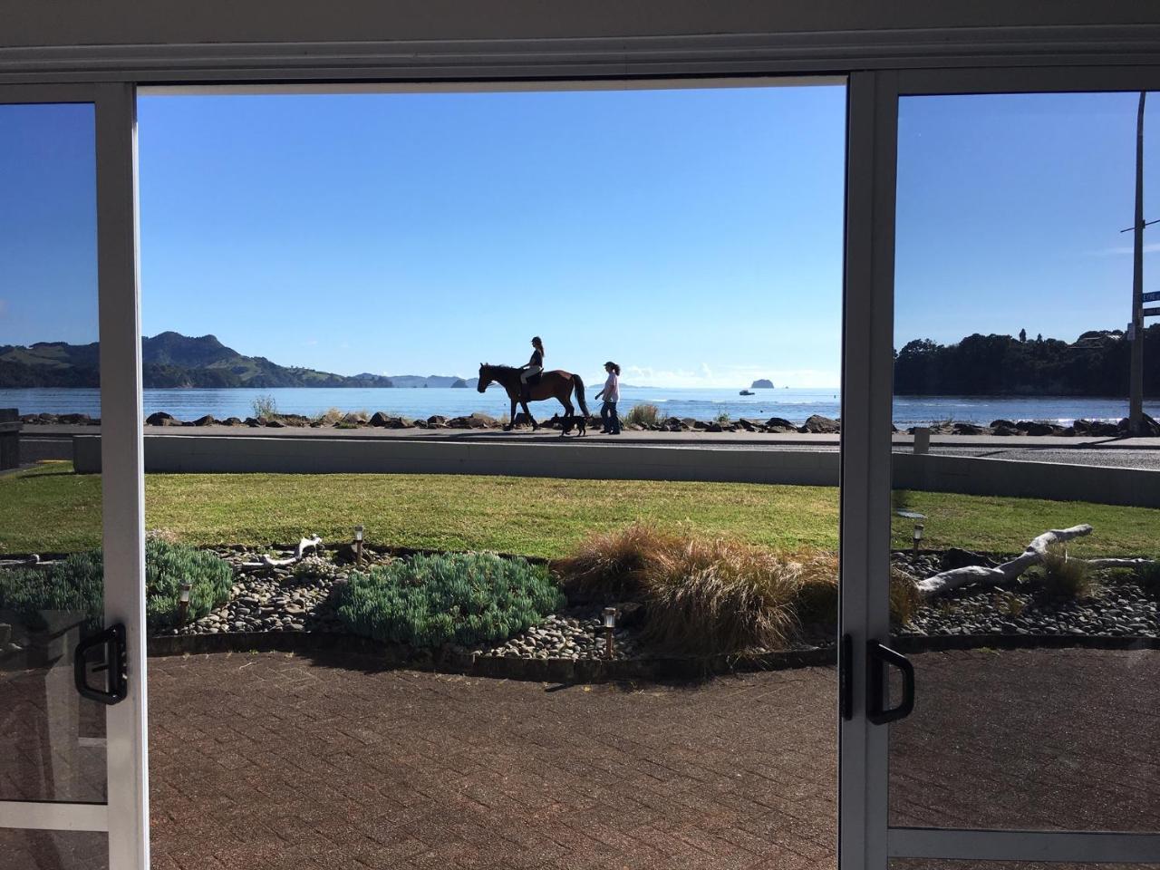 Waterfront Apartments Whitianga Eksteriør bilde